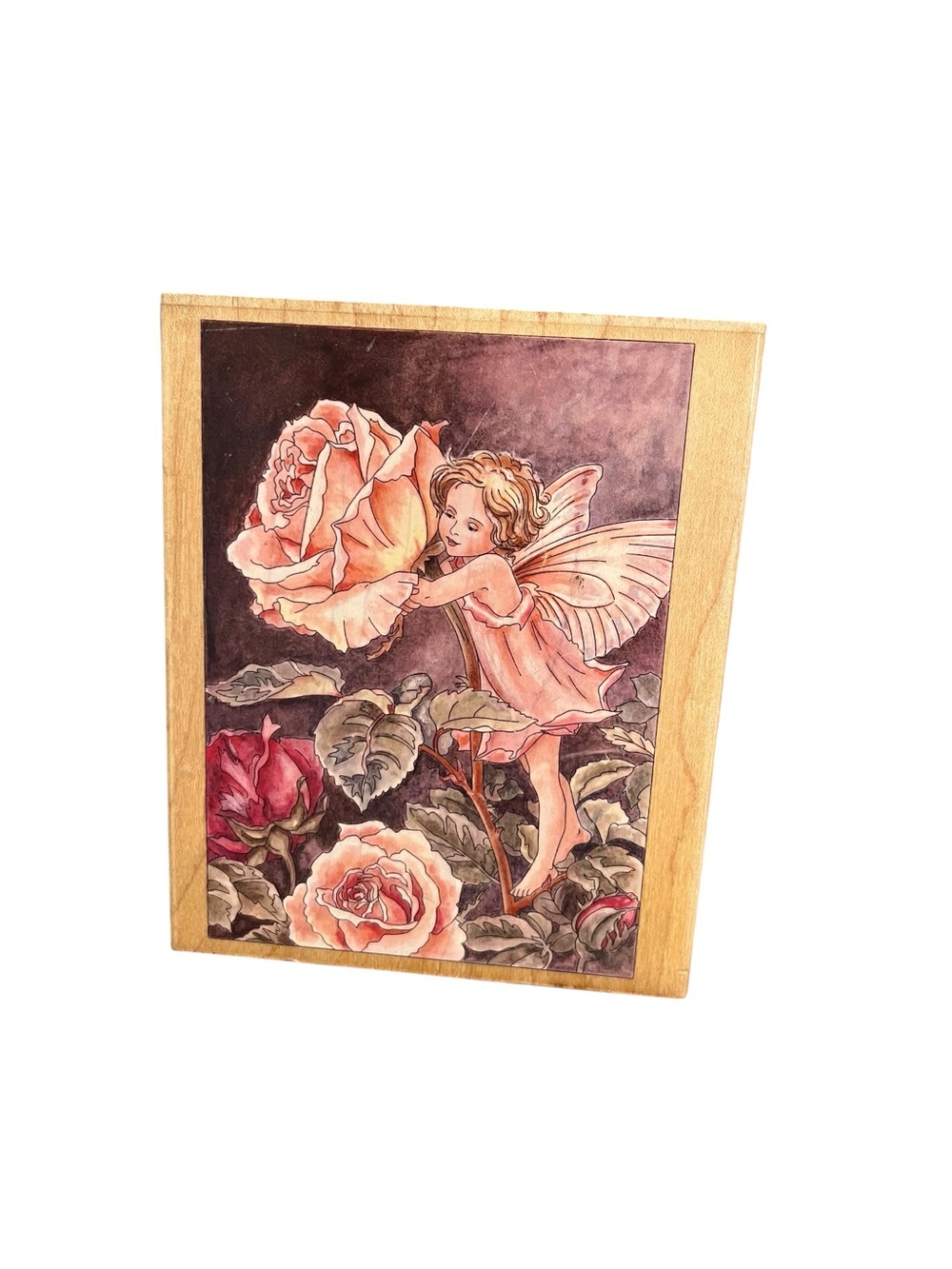 Stamps Happen #90030 Rose Flower Fairy Rubber Stamp Cicely Barker Unused USA